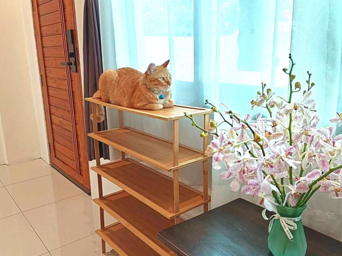 Sasima Bed And Breakfast Chiang Mai Esterno foto